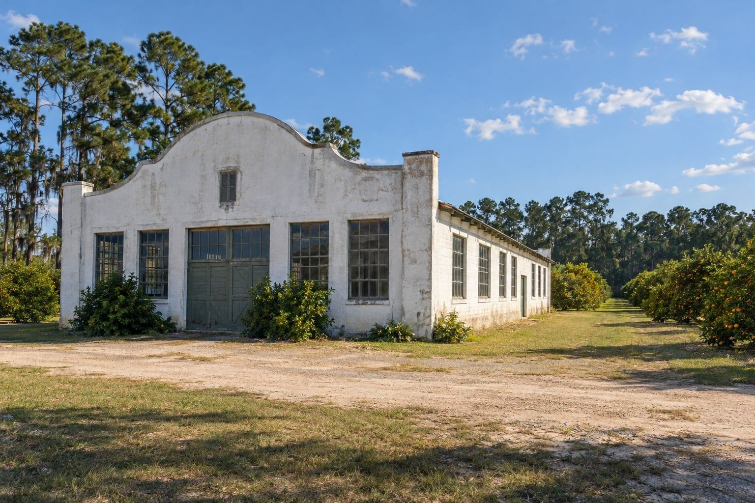 A low whitewashed building with a curved roofline and tall factory windows, pines and rows of citrus trees behind it under a blue sky